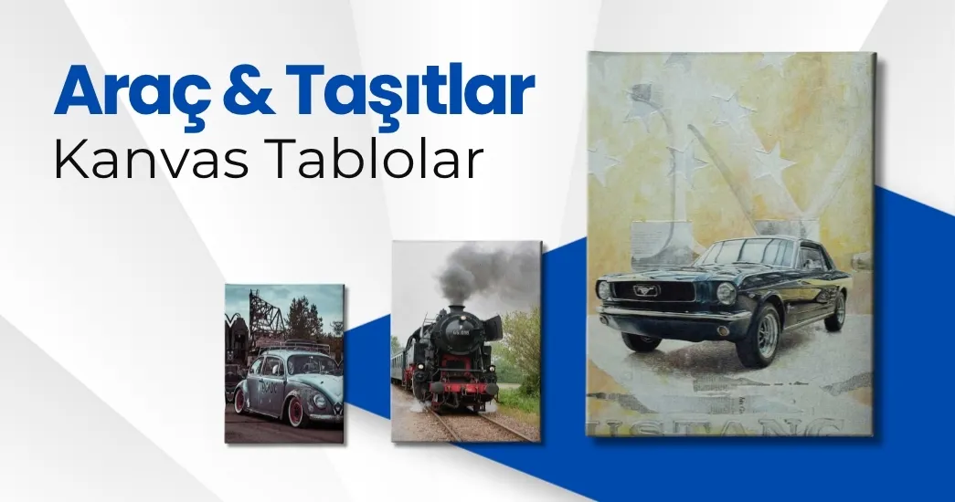 Araç & Taşıtlar